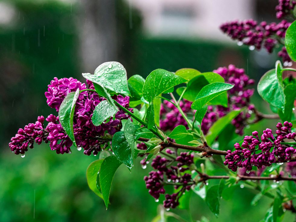 Времето до края на април: Ще се редуват слънце и дъжд, ще ни изненада ли сняг?