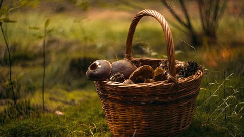 Законите в Германия на пръв поглед не са така строги като в