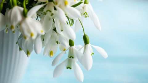 Пролетта винаги идва с една малка но осезаема промяна –