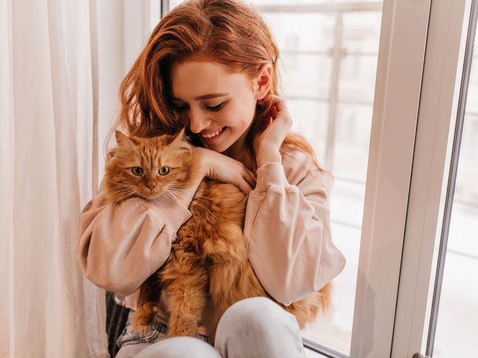 Защо котката ви ляга да спи върху вас: Какво всъщност означава този навик