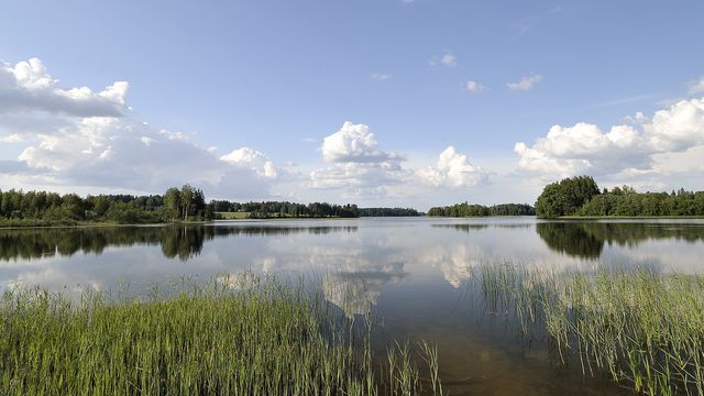 Естонска природа
