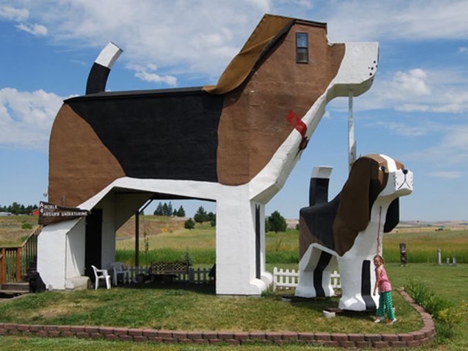 Нестандартни хотели: Dog Bark Park Inn