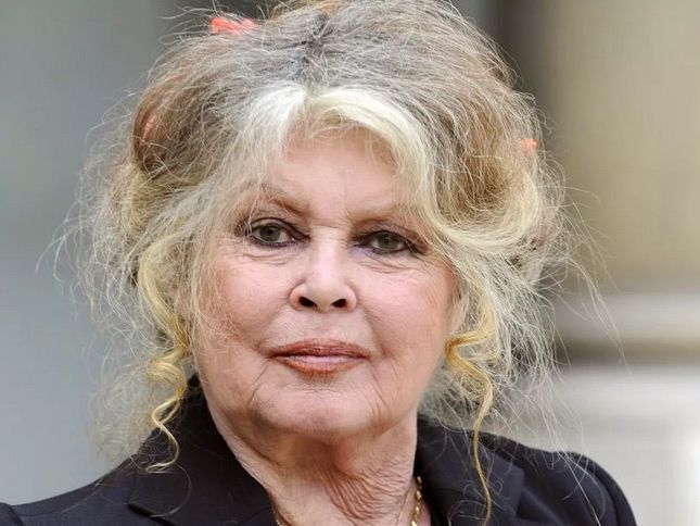 Брижит Бардо се прибра у дома и ще посрещне празниците с приятели и близки