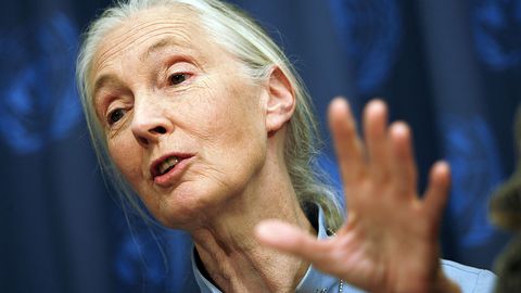 Известната природозащитничка и активистка за хуманно отношение към животните незабравимата