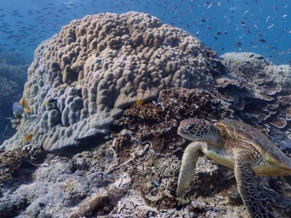 Невероятни места, които можете да видите с Google Street View