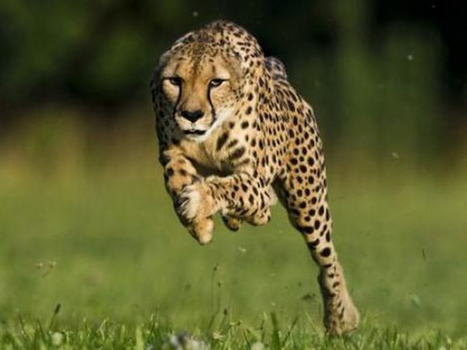 6 юни според астрологията