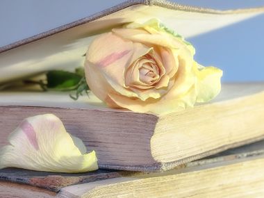 Бащата на Лолита: Може и да не разбираш, че постъпваш добре, но няма как да не разбираш, когато постъпваш лошо