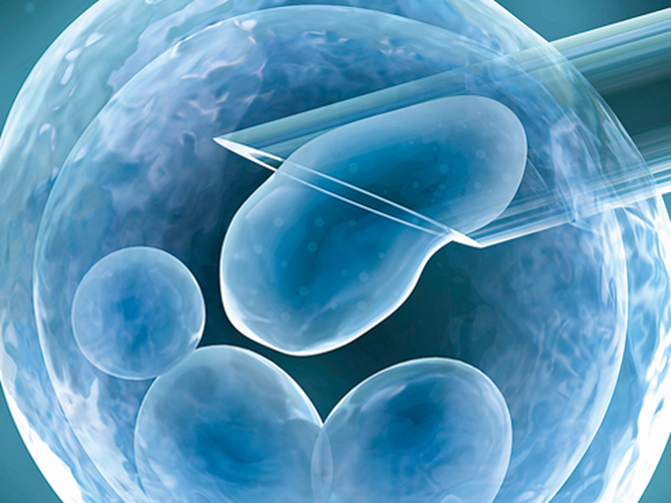 Има ли черен пазар на яйцеклетки у нас?