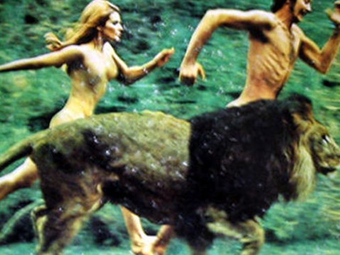 Как се променя тялото при редовно тичане?