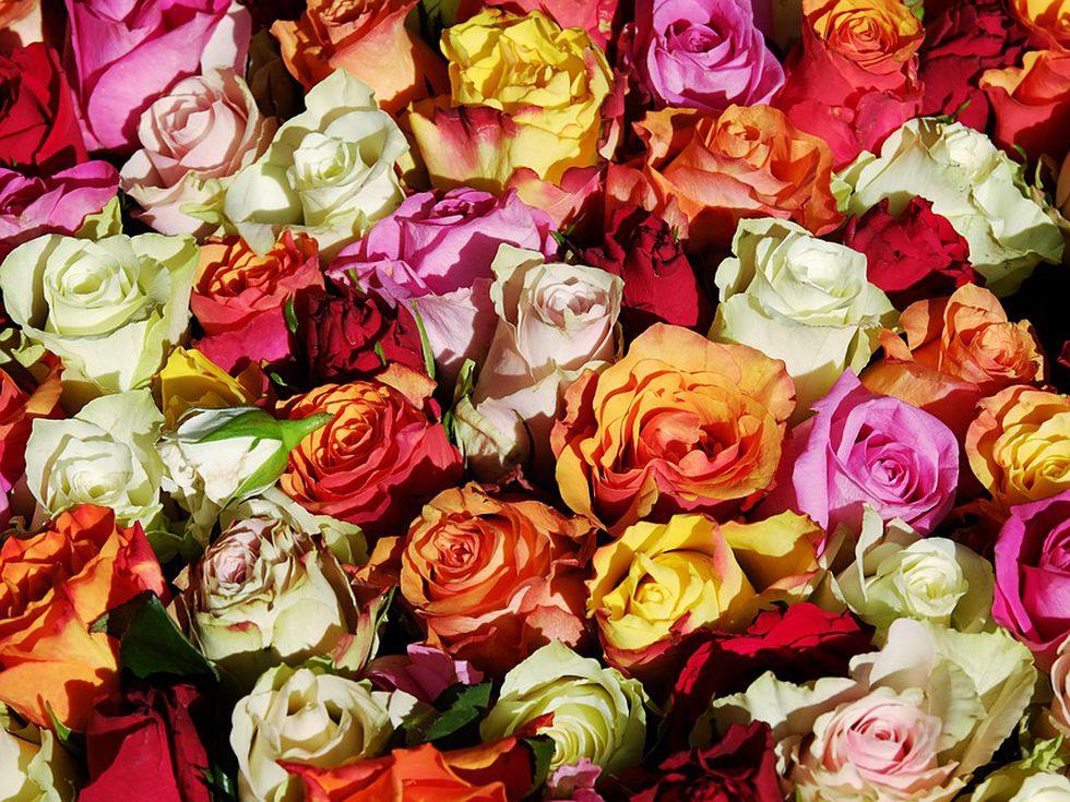 Факти за 1 май, за които вероятно не знаете