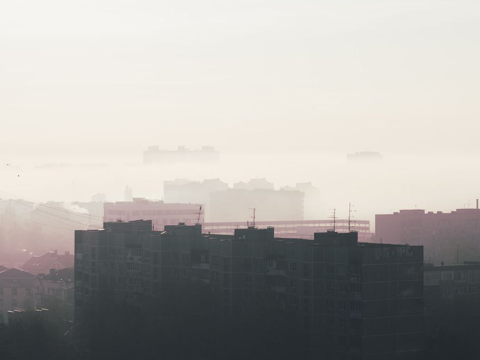 Болни, грозни и глупави... Заради мръсния въздух