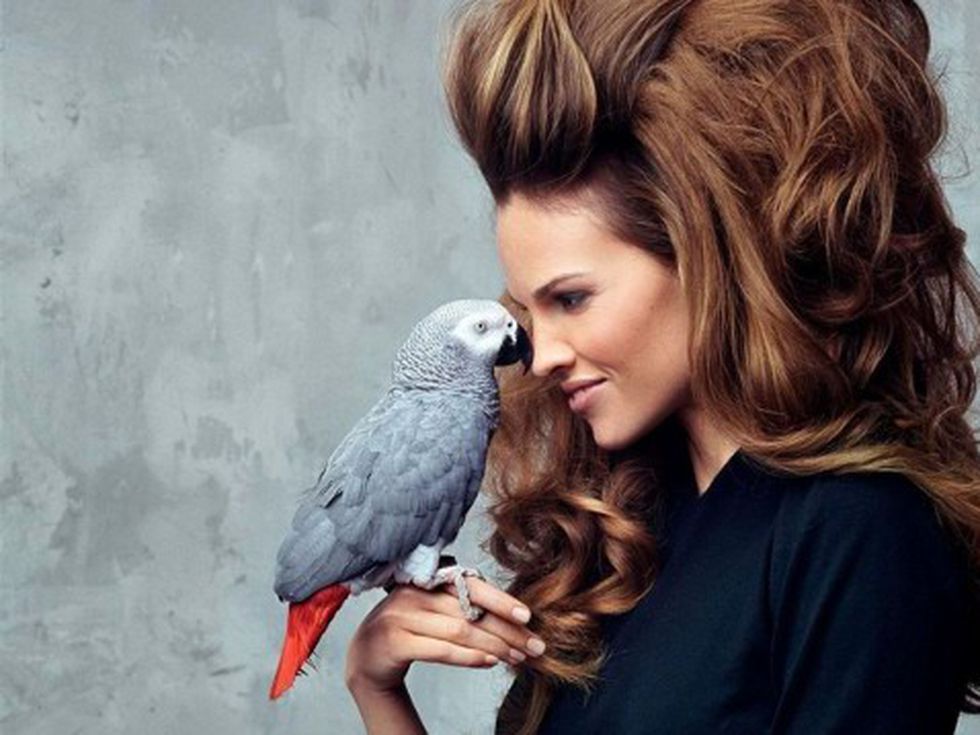 Happy Single - Хилари Суонк