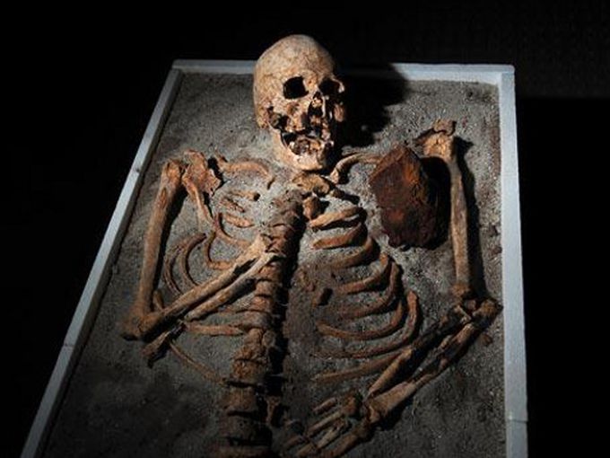 Откриха четири вампира в Полша