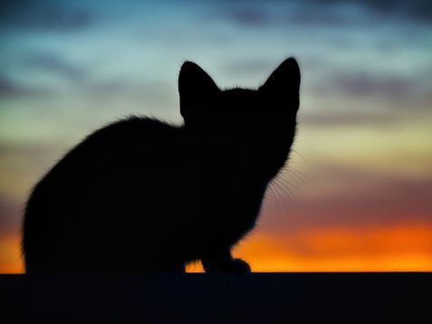 Какво толкова ужасно има в петък 13-ти?