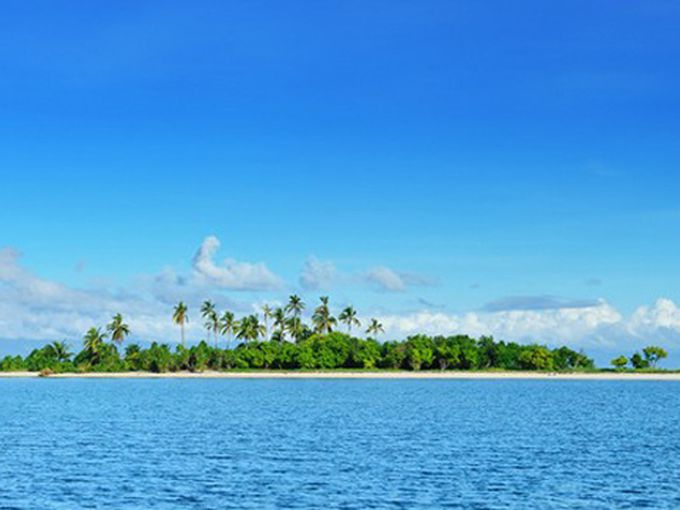 Reddit Island – островът на интернет маниаците