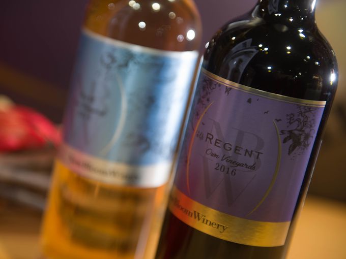 Златен медал за българско вино от Mundus Vini в Германия