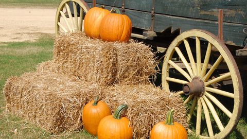 На 26 октомври източноправославната църква почита името на Св Димитър