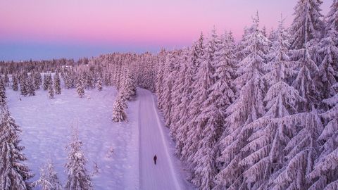 Коледната седмица ще започне с предимно облачно и мъгливо време