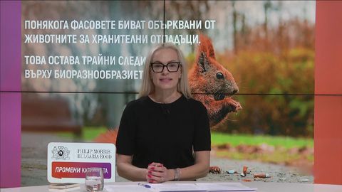 Какво се случва когато литературата срещне киното и двете решат