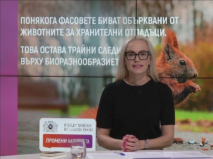 Синелибри и силата на изкуството да променя картинката