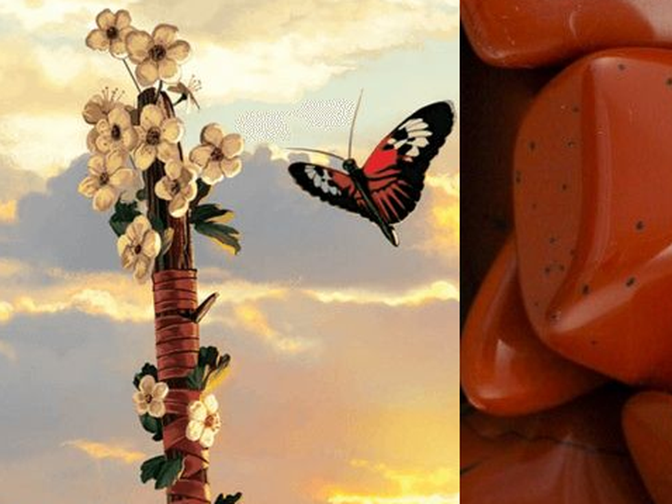 Вашата карта Таро за деня: Асо Жезли