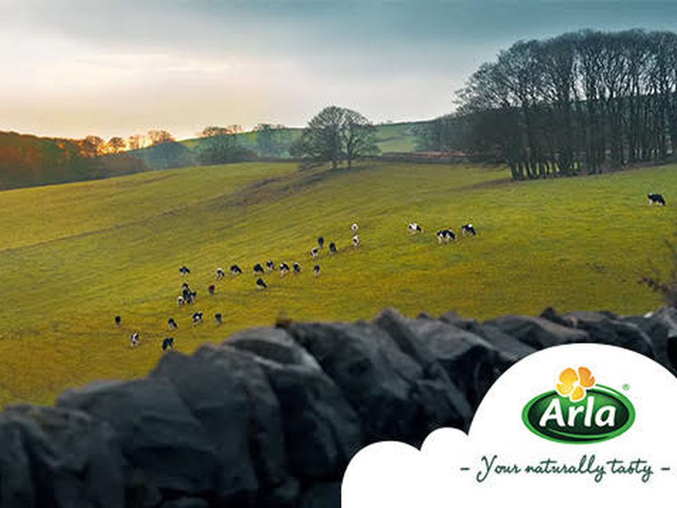 Скандинавска разходка - по стъпките на щастието, наречено хуга