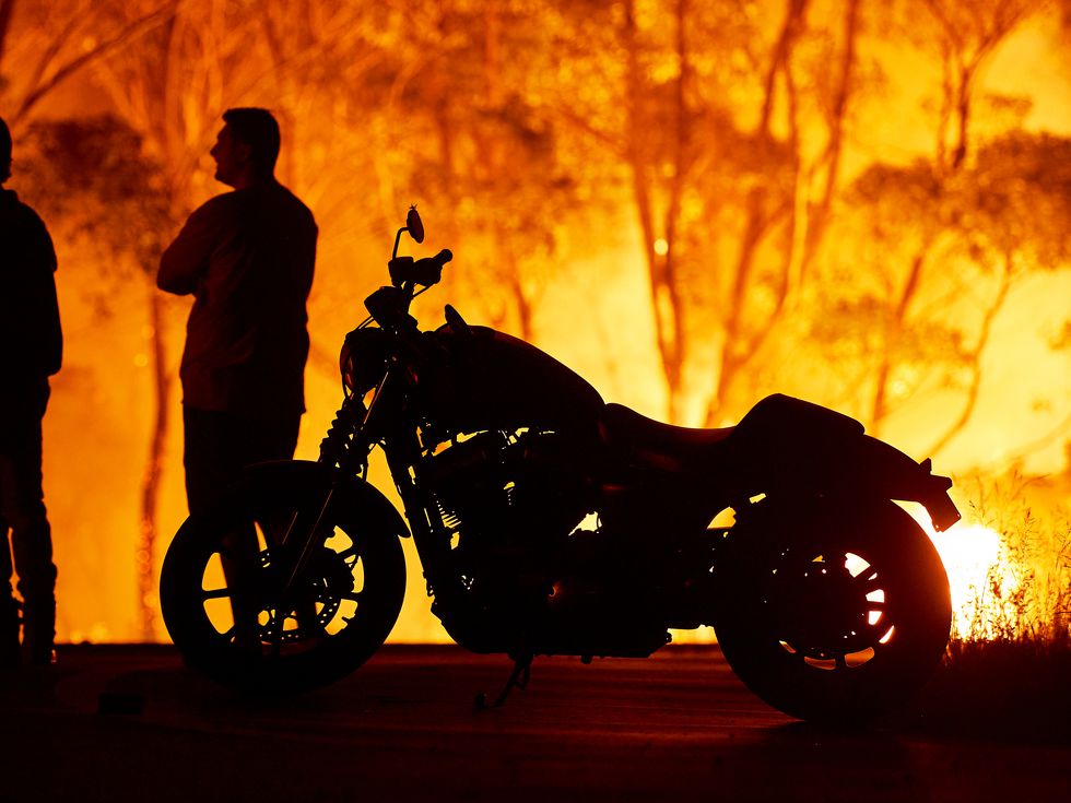 Огнен ад! Уникални видове животни изчезват в Австралия (Галерия)