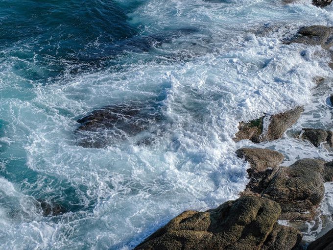 Майката на загиналия моряк в Норвежко море разплака всички с прощално писмо към сина си