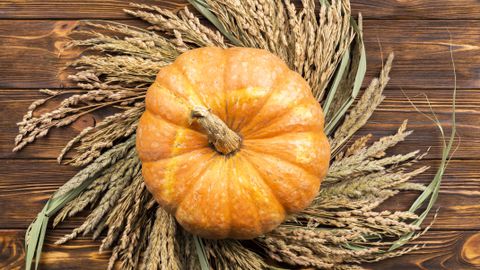 Есента не е истинска есен без аромата на тиква Онзи
