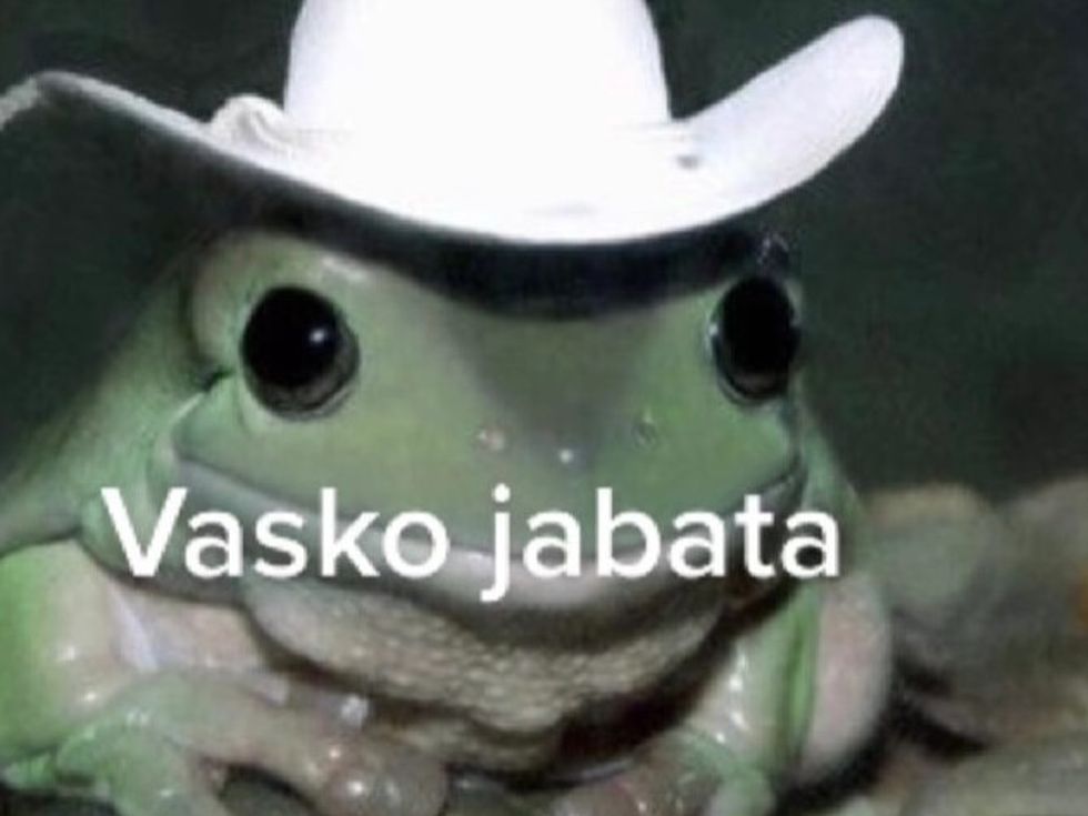 Как Васко Жабата възкръсна след 20 години и стана тотален хит на Балканите с безумния си текст