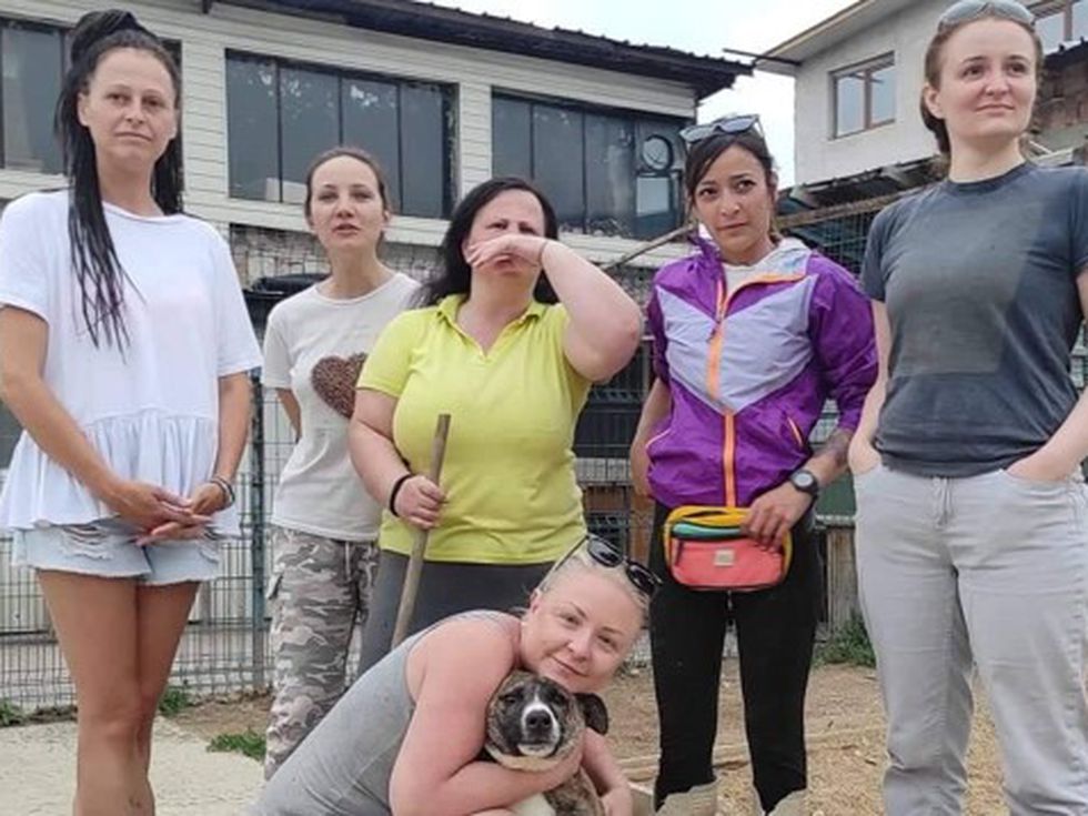 Бизнесът в подкрепа на бездомните животни