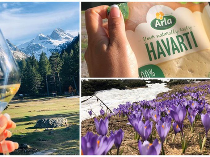 Наръчник по оцеляване във времена на криза: Да кажем "Наздраве" на живота и да си пожелаем обич