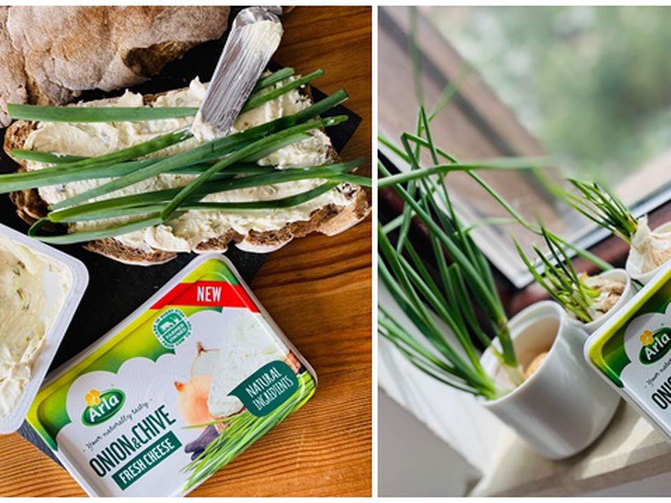 Глава стар лук, една история и кутийка Arla - никога не е късно да мечтаеш!