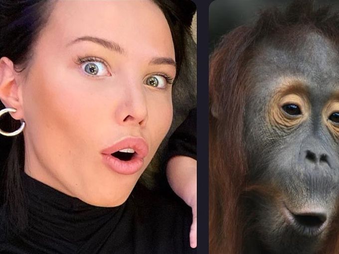 Руски звезди полудяха по приложение: Сравняват себе си с животни! (Снимки)