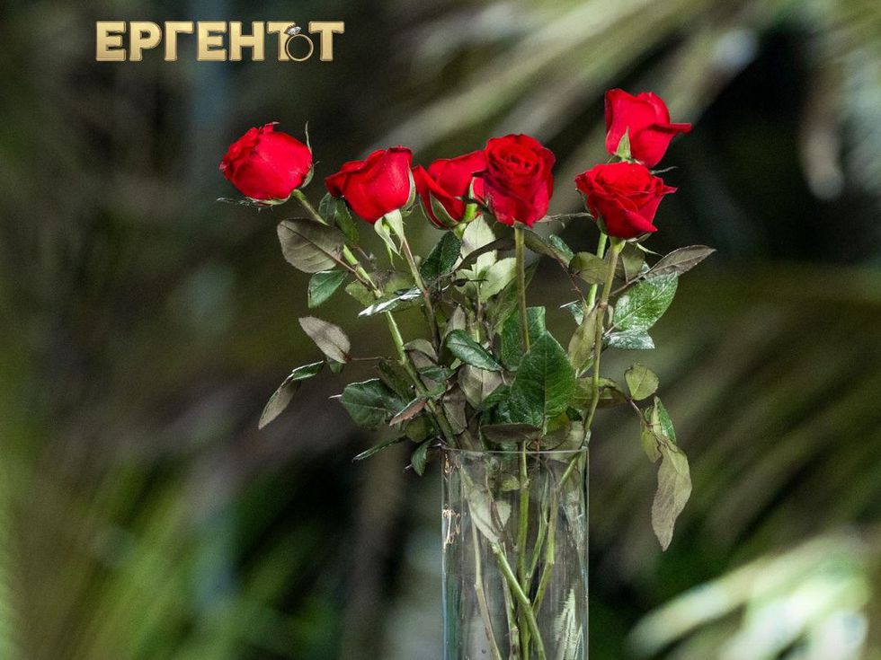 Задава се пети сезон: Ето кои са новите Ергени