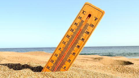 В ефира на Би Ти Ви проф Георги Рачев заяви