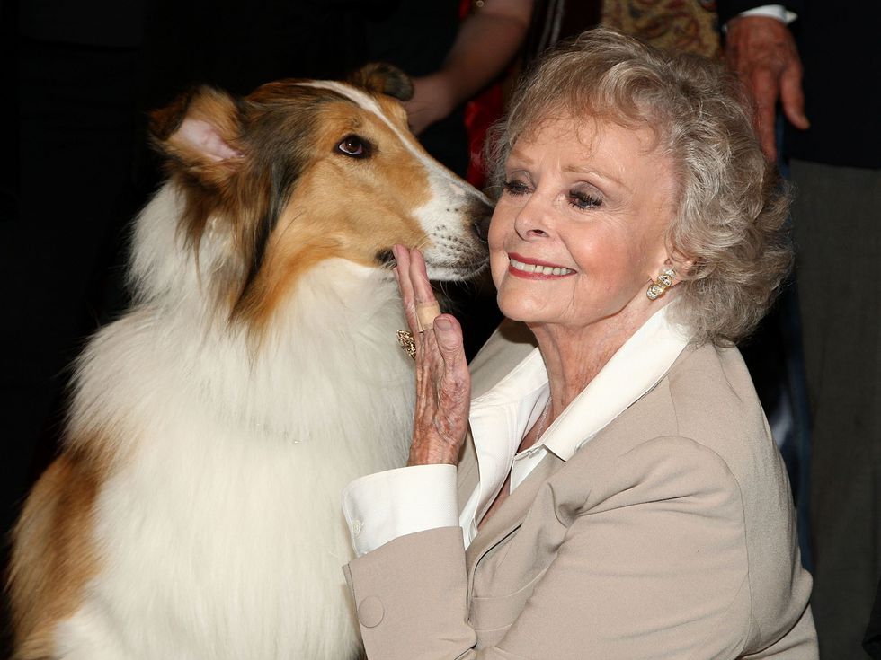 Последни аплодисменти: Легендата от "Ласи" и "Изгубени в космоса" Джун Локхарт си отиде на 100 години