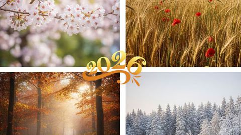 Анализите на водещи метеорологични служби и научни институти като NOAA