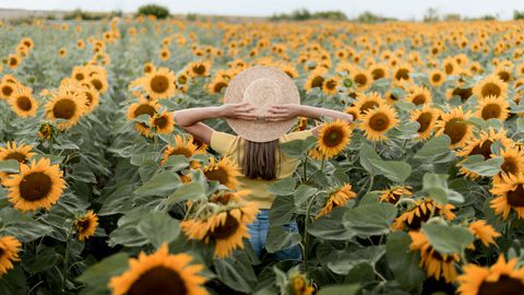 Лятото е в разгара си и съвсем скоро ще започне