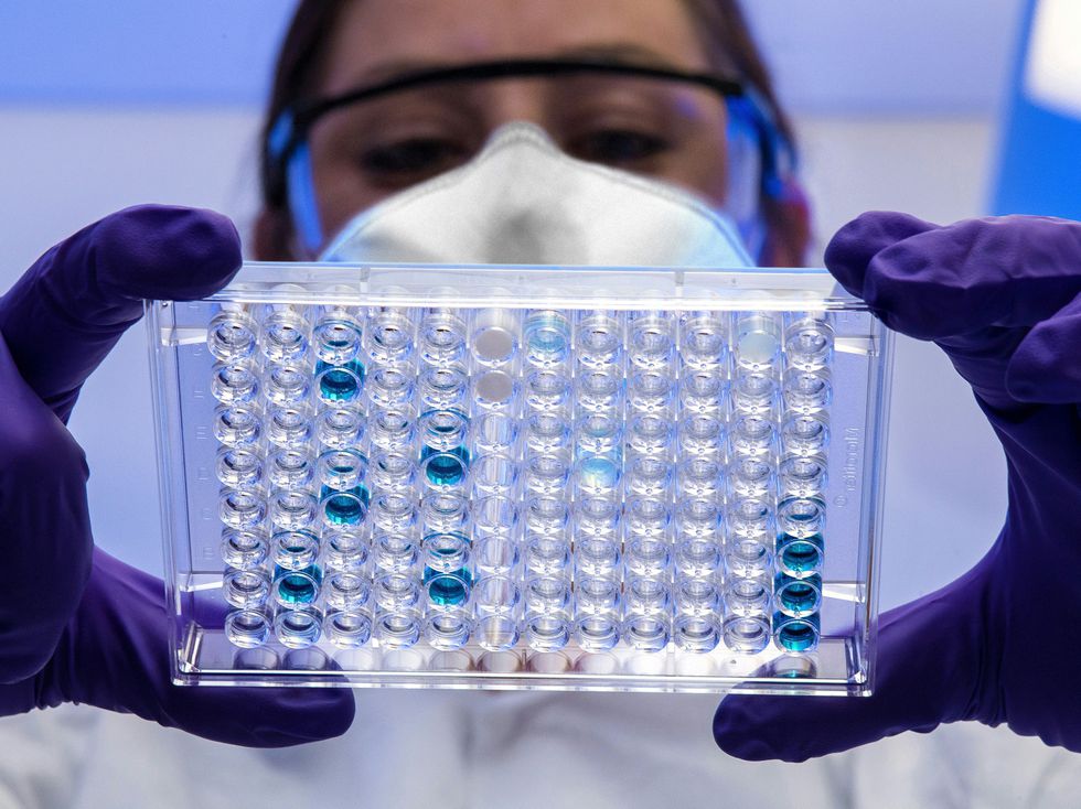 Проф. Аргирова коментира вируса Нипа: Ето какви са симптомите