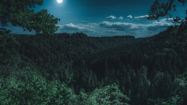 Пълнолуние