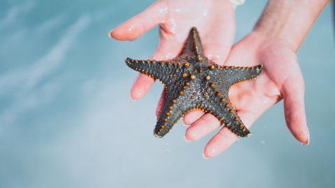 На 1 юни отбелязваме най светлия празник Деня на детето